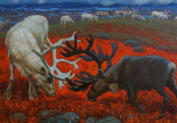 Работы Константина Войнова