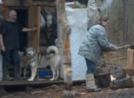 Фильм «Выбор» красноярского режиссёра Александра Калашникова взял приз на Байкальском кинофестивале «Человек и Природа»