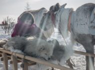 Фотовстреча с документальным фотографом и журналистом Юлией Невской / 19 ноября