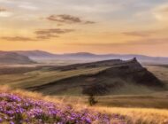 Выставка «Моя Сибирь: авторский взгляд» / 1 апреля - 19 апреля