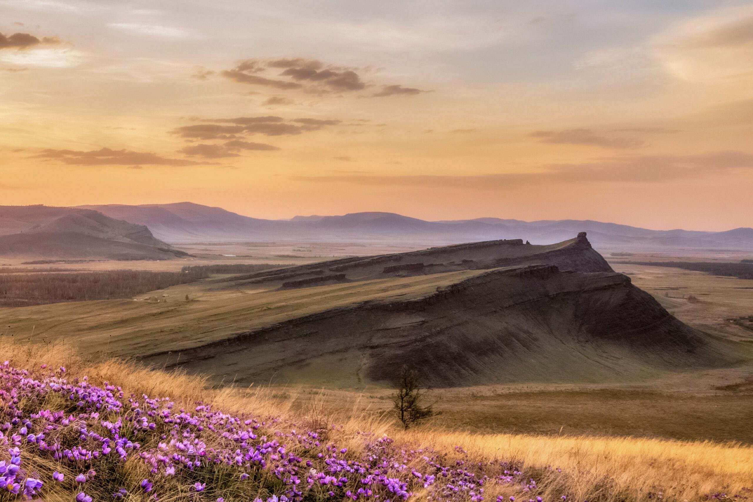 Выставка «Моя Сибирь: авторский взгляд» / 1 апреля – 19 апреля