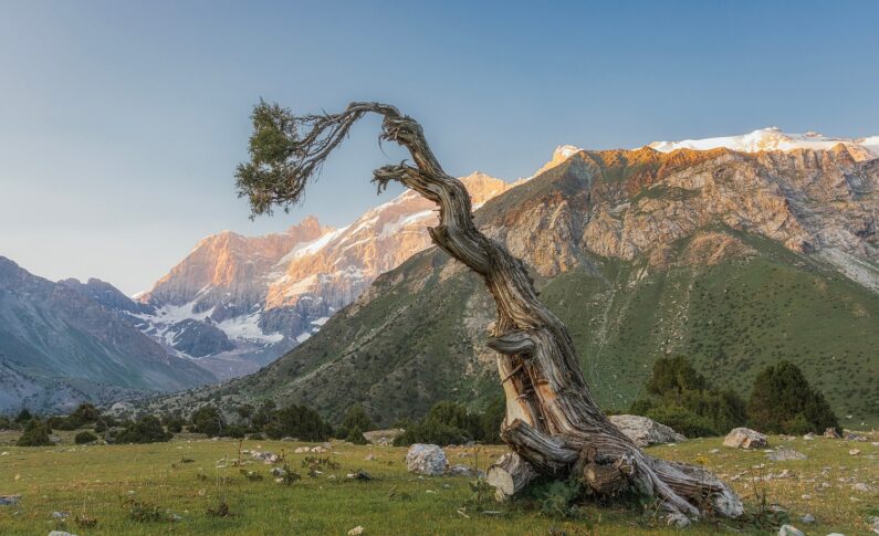 Фотовстреча с фотографом Евгением Дубыниным / 8 сентября